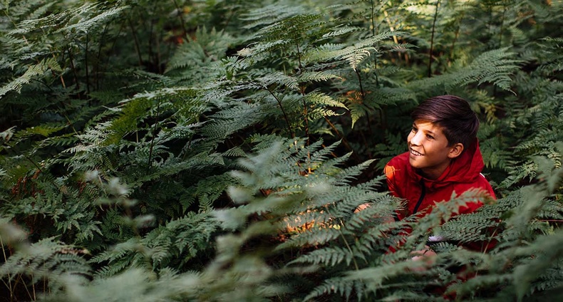 A boy in a bush