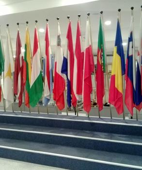 The image shows a wall with flags